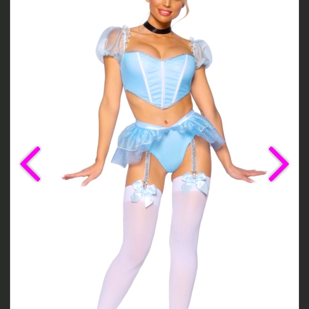 Cinderella Halloween Costume
